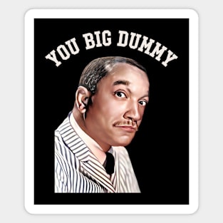 You big dummy - Redd Foxx Magnet